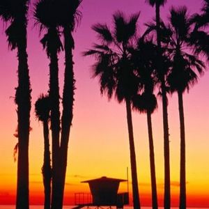 Meet your Posher, Roma